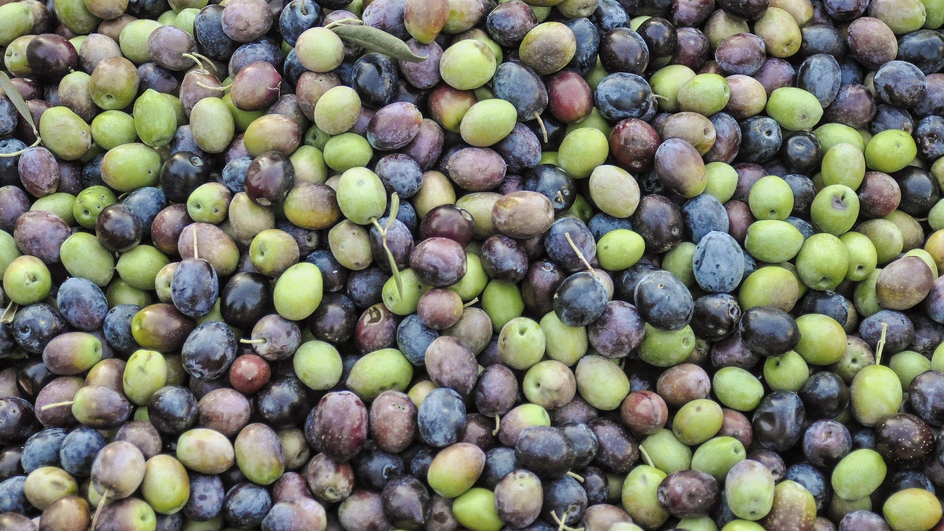 Κρητικό Ελαιόλαδο