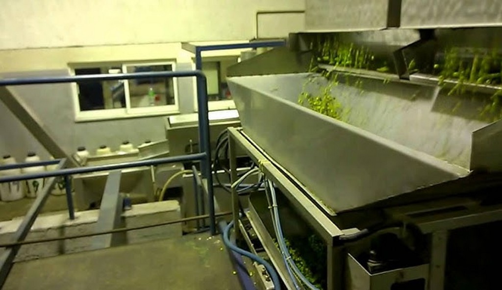 Εικόνες από τον Αγροτικό Συνεταιρισμό της Κριτσάς