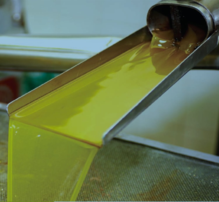 Φρέσκο ελαιόλαδο όπως προκύπτει μετά την επεξεργασία της ελιάς