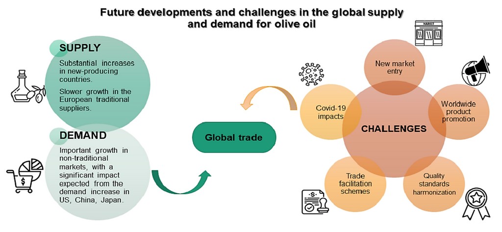 Forecasting Global Developments and Challenges in Olive Oil Supply and Demand