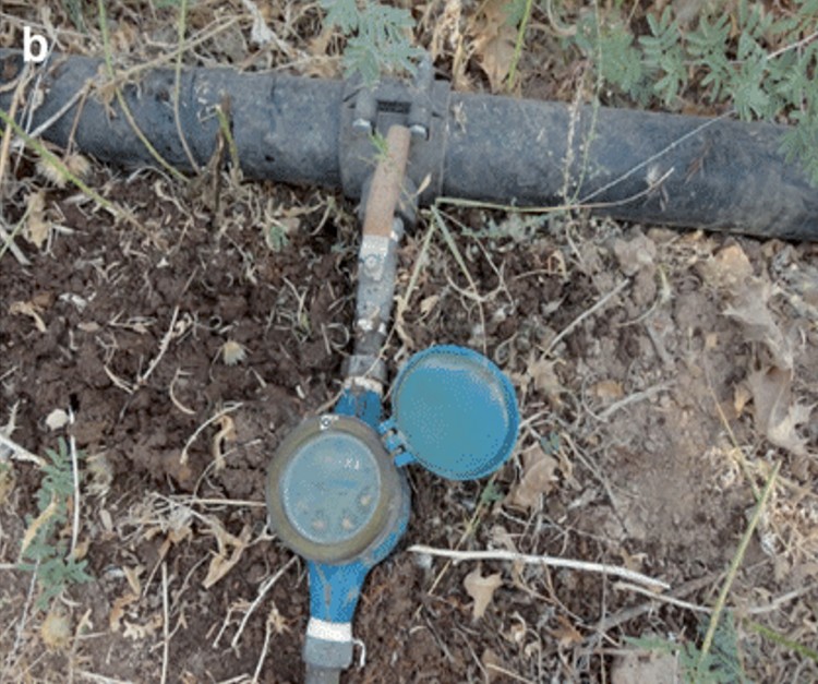 Η άρδευση της ελιάς με μετρητή όγκου νερού