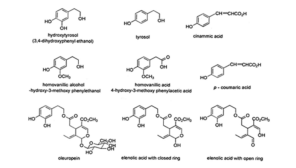 Δομές των κύριων φαινολικών ενώσεων που εντοπίζονται στις ελιές και το ελαιόλαδο